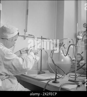 In der Bluttrocknungsanlage der Universität Cambridge im Jahr 1943 transferierten Labormitarbeiter mit Kaolin gemischtes Rohplasma in große Kolben und trugen Labormäntel und Masken, um Kontamination zu verhindern. Stockfoto
