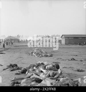 Im April 1945 wurden bei der Befreiung von Bergen-Belsen Leichen von Gefangenen entdeckt, die entkleidet und in Haufen um das Lager herum gelassen waren. Stockfoto
