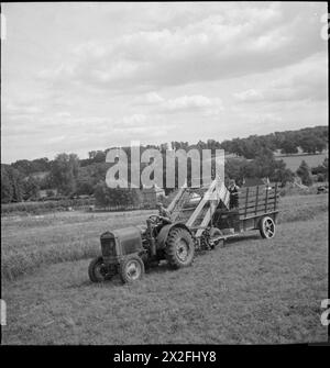 MODERNE LANDWIRTSCHAFT: LANDWIRTSCHAFT IN GROSSBRITANNIEN, 1943 – Landarbeiter betreiben eine Traktor-gezogene „Cutlift“-Maschine auf einem Kleefelder in Hampshire. Diese Maschine kann zum Schneiden von grünem Erntegut verwendet werden. Nach dem Schneiden fließt das Erntegut über den Förderer und fällt in den Anhänger. Es kann dann in ein Silos gebracht und als Viehfutter verwendet werden. Dieses Gerät ist sehr nützlich, da es bedeutet, dass ganze Felder schnell gelöscht werden können Stockfoto