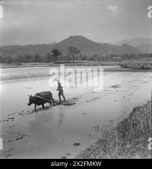 Schwarz-weiß-negativ von Cecil Beaton aus dem Jahr 1943-1944, in dem Indien, Birma und China dargestellt werden, einschließlich Menschen, Landschaften, und kulturelles Leben. Stockfoto