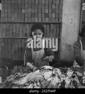 Schwarzweiß-Negativfoto von Cecil Beaton, aufgenommen während seiner Reise durch Indien, Birma und China im Jahr 1943-1944. Stockfoto