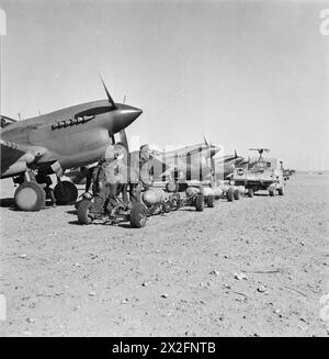 Panzerbomben mit einer Größe von 250 kg auf Curtiss Kittyhawk Mark III der No. 260 Squadron RAF auf dem Marble Arch Landing Ground, Libyen, 1939–1943, mit einem Truck, der mit einem auf einem Stativ montierten Browning-Maschinengewehr ausgestattet ist. Stockfoto