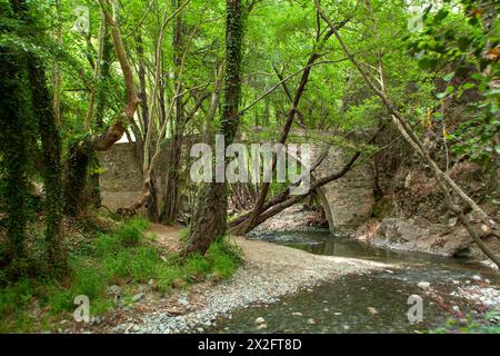 Die alte venezianische Brücke von Kelefos (oder „Tzielefos“), zwischen Agios Nikolaos und Platres Dörfern, Troodos Berg, Bezirk Lemesos Zypern Stockfoto