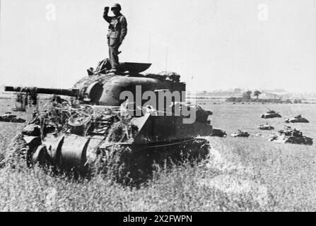 Das Geschwader von Sherman-Panzern der 10. Gepanzerten Kavallerie-Brigade, 1. Polnische Panzerdivision, durchquert offene Felder zur Unterstützung der 2. Kanadischen Infanteriedivision während der Operation Tractable, 1944. Stockfoto