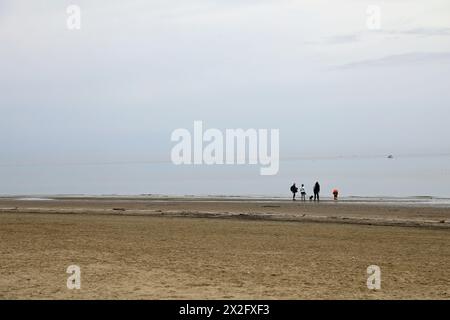 Winterbewohner am Strand von Rimini in Italien Stockfoto