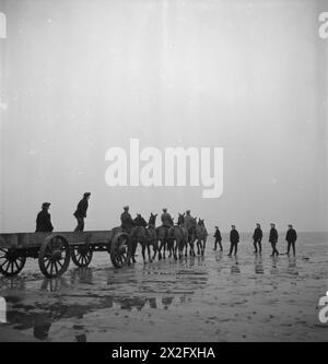 SCHÜTZEN FÜR MÄDCHEN: DIE ARBEIT DES HILFSKRÄFTEDIENSTES AN EINER VERSUCHSSTATION, SHOEBURYNESS, ESSEX, ENGLAND, 1943 – Eine Gruppe von ATS-Frauen tritt aus dem Pferdewagen, der sie auf den nassen Sand bei Shoeburyness getragen hat, um Granaten nach einem Testfeuer der Royal Artillery zu sammeln. Die Granaten waren bei Flut ins Meer geschossen worden Stockfoto