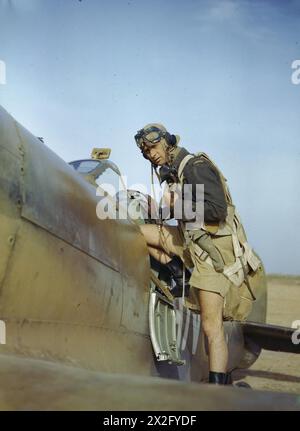 Foto, das einen Piloten der No. 417 Squadron RCAF zeigt, der in das Cockpit seines Supermarine Spitfire-Kampfflugzeugs in Goubrine (Tunesien) klettert, April 1943. Stockfoto