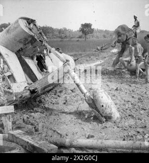 MIT DER FLOTTENLUFTWAFFE IM OSTEN. ROYAL MARINEFLUGSTATION KATAKURUNDA, CEYLON. TÄTIGKEITEN DES FLOTTENFLUGWAFFENBODENPERSONALS IN DEN TROPEN. - Ein Elefant wird eingesetzt, um das Wrack eines Flugzeugs zu retten Stockfoto