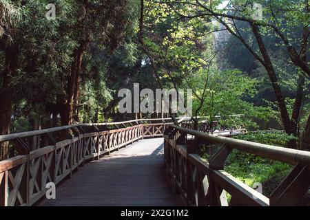 Holzstraße umgeben von Bäumen mit Sonnenlicht am Ende der Straße in Taiwans Alishan National Forest Recreation Area Stockfoto