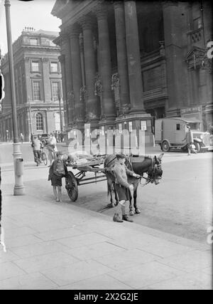 Im Jahr 1943 werden in Newcastle-upon-Tyne, England, zwei Jungen auf der Grey Street gegenüber dem Theatre Royal auf einem Maultier- und Maultierwagen abgebildet. Stockfoto