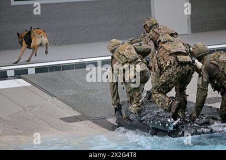 Ein Kommandotrupp des Kommandos Spezialkräfte KSK im Wasserbecken in der Ausbildungshalle mit einem mitgeführten Diensthund. Bundeskanzler Olaf Scholz besucht das Kommando Spezialkräfte KSK am 05. März 2024 in Calw. Calw Baden-Württemberg Deutschland *** Eine Kommandoeinheit des Sondereinsatzkommandos KSK im Wasserbecken in der Trainingshalle mit einem Diensthund Bundeskanzler Olaf Scholz besucht das Sondereinsatzkommando KSK am 05. März 2024 in Calw Calw Baden-Württemberg Stockfoto