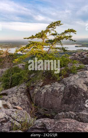 Blick auf den Weiss Lake vom Cheyene Rock Village Park in der Nähe von Leesburg, Alabama Stockfoto