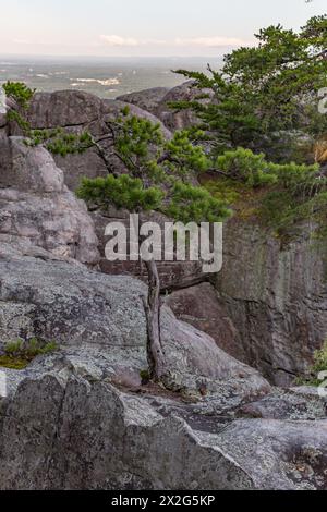 Blick auf den Berg vom Cheyene Rock Village Park in der Nähe von Leesburg, Alabama Stockfoto