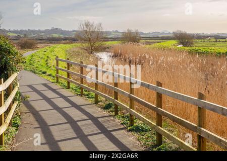 Sustrans Route 566 Lon Las Cefni Rad- und Wanderweg am Afon Cefni Fluss. Llangefni, Isle of Anglesey, Wales, Vereinigtes Königreich, Europa Stockfoto