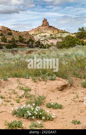 Church Rock Sandstone Felsformation im Red Rock Park bei Churchrock, New Mexico bei Gallup Stockfoto