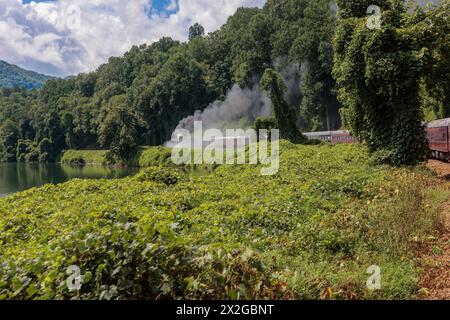 Der Dampf der Great Smoky Mountains Railroad hängt in der Luft, während der Zug eine Kurve durch die Berge von North Carolina fährt Stockfoto