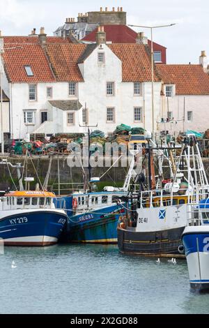 Fischerboote im Hafen Pittenweem, Fife, Schottland Stockfoto