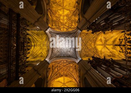 Sevilla, Andalusien, Spanien - 23. Oktober 2023 - Inneres der Kathedrale von Sevilla, Rippengewölbe mit mittelalterlicher Kirchendecke, gotische Architektur, Stadtlandmar Stockfoto