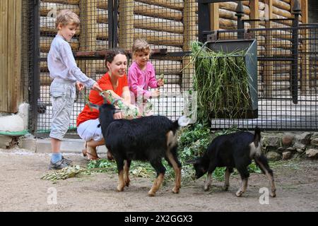 Mutter, Sohn und Tochter ernähren sich mit Bergziegenzweigen im zoologischen Garten, Schwerpunkt Mutter Stockfoto