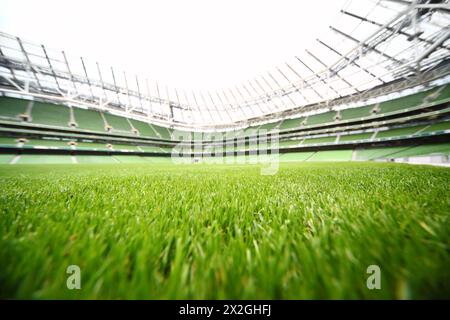 green-cut grass in large stadium at summer day, large soccer field, shallow depth of focus Stockfoto