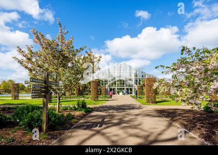 Blick auf den Eingang zum berühmten Glasshouse in RHS Garden, Wisley, surrey, Südosten Englands im Frühjahr Stockfoto