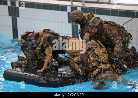 Ein Kommandotrupp des Kommandos Spezialkräfte KSK im Wasserbecken in der Ausbildungshalle mit einem mitgeführten Diensthund. Bundeskanzler Olaf Scholz besucht das Kommando Spezialkräfte KSK am 05. März 2024 in Calw. Calw Baden-Württemberg Deutschland *** Eine Kommandoeinheit des Sondereinsatzkommandos KSK im Wasserbecken in der Trainingshalle mit einem Diensthund Bundeskanzler Olaf Scholz besucht das Sondereinsatzkommando KSK am 05. März 2024 in Calw Calw Baden-Württemberg Stockfoto