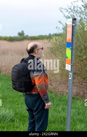 Älterer Mann liest Informationstafel, Informationstafel, Elbfeuchtgebiete bei Bleckede, Niedersachsen, Deutschland Stockfoto