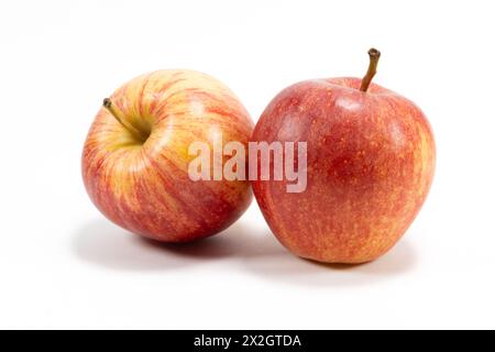 Isolierte Nahaufnahme von zwei roten Äpfeln auf weißem Hintergrund Stockfoto
