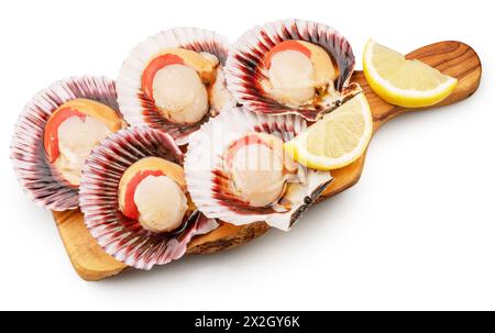 Essbare rohe geöffnete Jakobsmuscheln mit Zitronenscheibe auf Holzbrett. Datei enthält Beschneidungspfad. Stockfoto