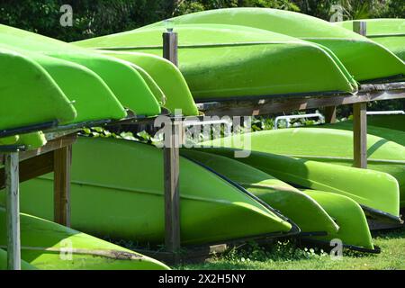 Auf Wekiva Island in Longwood, Florida, können Sie aus nächster Nähe grüne Kanus sehen, die auf Holzregalen gelagert sind und üppige grüne Bäume einen ruhigen Hintergrund bilden. Stockfoto