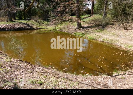 Pruhonice, Tschechische Republik - 29. März 2024 - der Borinteich im Pruhonice Park bei Prag zu Beginn des Frühlings Stockfoto