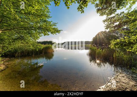 Eine malerische natürliche Landschaft eines Sees, eingebettet zwischen Bäumen, mit der Sonne, die durch die Äste blickt, schafft eine ruhige und ruhige Szene Stockfoto
