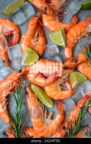Frische Garnelen mit Eis, Limette und Rosmarin auf grauem Hintergrund, Draufsicht. Das Konzept der gesunden Ernährung. Fisch Und Meeresfrüchte Stockfoto