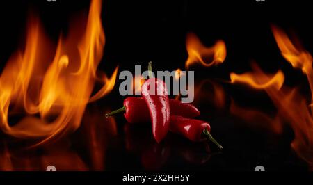 Rote Chilischoten mit Flammen auf schwarzem Hintergrund. Stockfoto