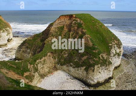 The Drinking Dinosaur - White Chalk Sea Arches in Flamborough Head, East Riding of Yorkshire, England, Großbritannien Stockfoto