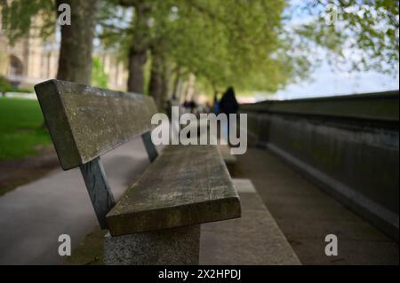 Blick auf eine Holzbank in einem Park Stockfoto