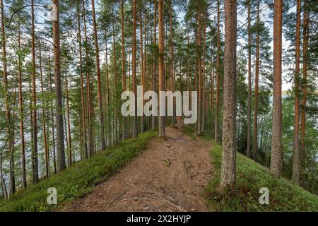 Seen und Wälder, Isojaervi-Nationalpark, Finnland Stockfoto