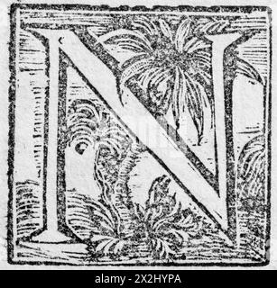 Initial oder ein Initial N, dekorativer Initial Letter, Holzschnitt, Mark Catesby, Natural History of Carolina, Florida and the Bahama Islands, 1754 Stockfoto