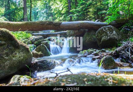 Ilse Wasserfall im Ilse Tal. Der Heinrich-Heine-Wanderweg führt durch das Ilsetal zum Brocken, Ilsenburg, 06.06.2015., Ilsenburg Stockfoto