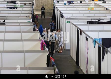 In einem ehemaligen Hangar am Flughafen Tempelhof, Berlin, werden am 9. Dezember 2015 provisorische Zimmer mit Betten in einer Notunterkunft für Flüchtlinge eingerichtet Stockfoto