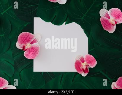 Kreatives Layout aus rosafarbenen Blumen und grünen Blättern. Naturkonzept. Grußkarte mit Blumenmuster. Trendiger exotischer Hintergrund, Kopierraum für Text. Stockfoto