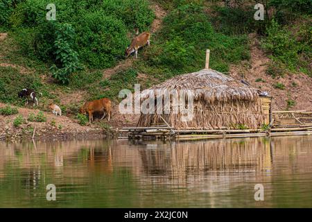 Schwimmendes Haus am Fluss Nam ou, Laos Stockfoto