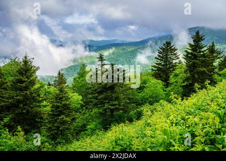 Malerischer Blick auf die Smokie Mountains vom Blue Ridge Parkway in der Nähe von Maggie Valley, North Carolina Stockfoto