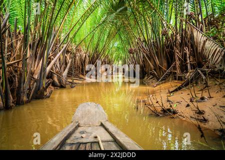 Reisen Sie durch die Kanäle des Mekong-Deltas in Südvietnam Stockfoto