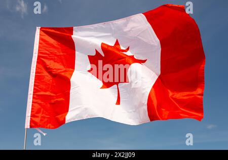 Die Nationalflagge Kanadas fliegt am Fahnenmast gegen blauen Himmel Stockfoto