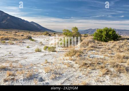 Natriumsesquicarbonat, Trona, natürliches Mineral, bedeckt Teile des Owens Dry Lake, Sierra Nevada Mountains (links), Panamint Mountains auf der rechten Seite. Stockfoto