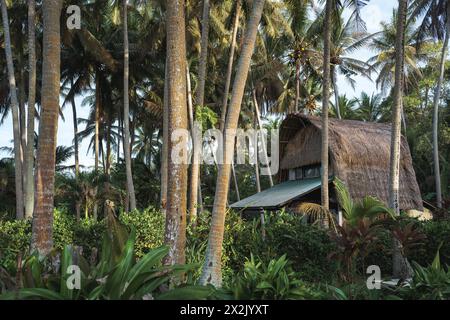 Ein ruhiges tropisches Strandhaus, eingebettet zwischen hohen Palmen und üppigem Grün, bietet einen friedlichen Kurzurlaub in einer ruhigen paradiesischen Umgebung. Stockfoto