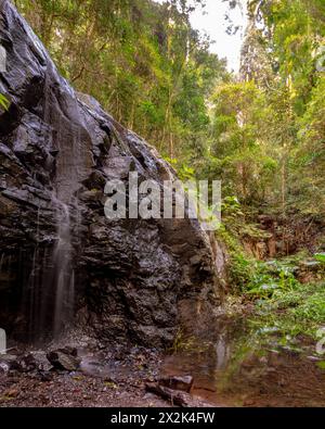 Wasserfall in der Wildnis von Australien mit Sonnenstrahlen im Hintergrund. Aufgenommen in den Bunya Mountains, Queensland. Stockfoto