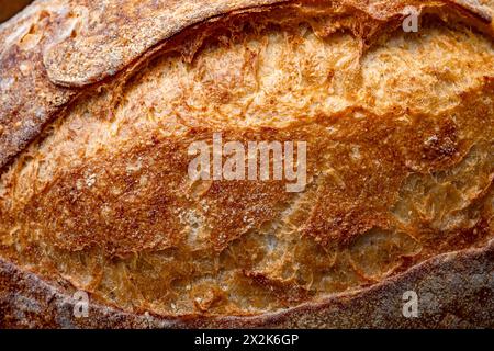 Frisch gebackenes, knuspriges Sauerteigbrot-Brot aus nächster Nähe mit goldbrauner Kruste Stockfoto