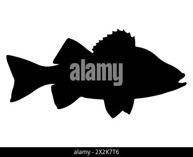 Barsch Fisch Silhouette Vektorkunst Stock Vektor